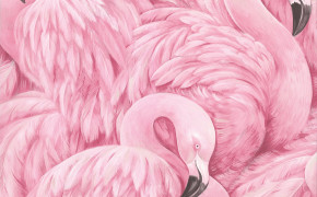 Flamingo Wallpaper 61374