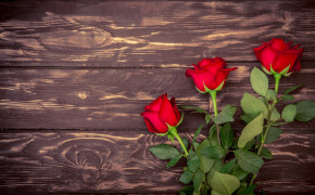 Red Rose Background Wallpapers 61785