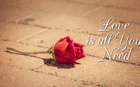 Love Is All You Need Quotes HD Wallpaper 05793