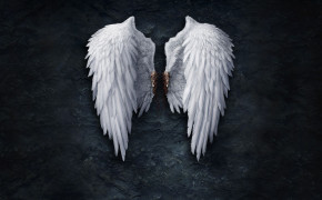 Wings 06461