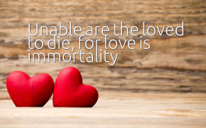 Love Is Immortality Quotes HD Wallpaper 05799