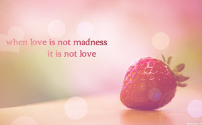 Madness Love Quotes Sayings Wallpaper 05810