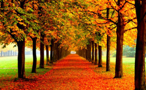 Autumn Fall Wallpaper 1520x930 63849