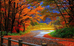 Autumn Fall Wallpaper 1920x1080 63851