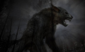 Angry Wolf Wallpaper 1920x1200 63683