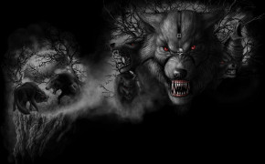Angry Wolf Wallpaper 2560x1600 63665