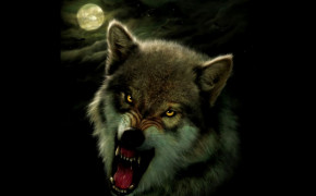 Angry Wolf Wallpaper 1216x952 63670