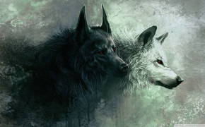 Angry Wolf Wallpaper 1920x1080 63685