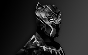Black Panther Wallpaper 2560x1440 67134