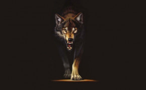 Angry Wolf Wallpaper 1024x819 63694