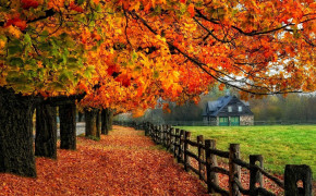 Autumn Fall Wallpaper 1920x1200 63856