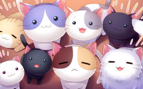Anime Cat Wallpaper 2048x1152 63724