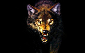 Angry Wolf Wallpaper 1024x768 63673