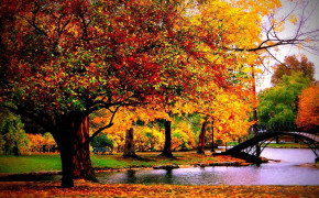 Autumn Fall Wallpaper 1920x1080 63859