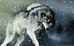 Angry Wolf Wallpaper 1920x1200 63668