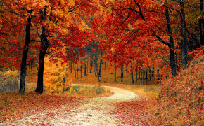 Autumn Fall Wallpaper 2880x1800 63852