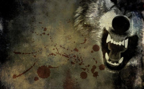 Angry Wolf Wallpaper 1024x768 63675