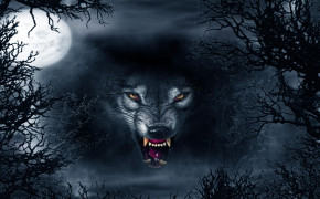 Angry Wolf Wallpaper 3840x2160 63658