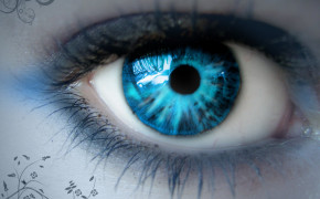 Blue Eyes Wallpaper 1600x1200 63940
