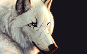 Angry Wolf Wallpaper 1920x1080 63662