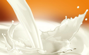 Milk Wallpaper 1600x1200 67512