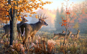 Deer Wallpaper 2560x1600 65609
