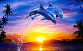 Dolphin Wallpaper 1920x1080 67285