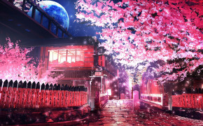 Sakura Wallpaper 1919x1080 65898