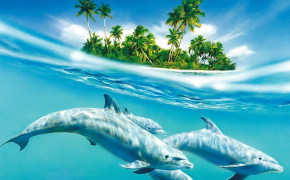 Dolphin Wallpaper 1600x1200 65649