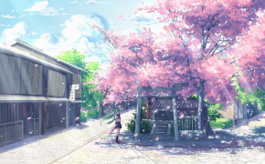 Sakura Wallpaper 1920x1080 65893