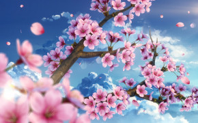 Sakura Wallpaper 3840x2160 65899