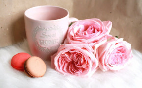 Rose Mug Wallpaper 1680x1050 65886