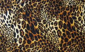 Leopard Wallpaper 1920x1080 65720