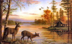 Deer Wallpaper 1920x1080 65622