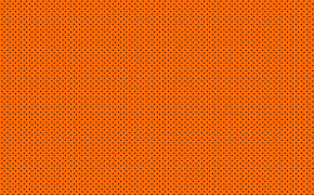 Orange Wallpaper 2560x1440 65835