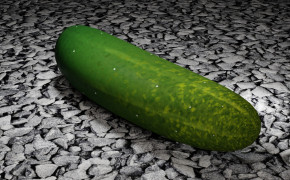 Cucumber Wallpaper 1920x1080 65546
