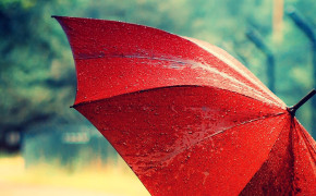 Monsoon Umbrella Wallpaper 1920x1079 64707