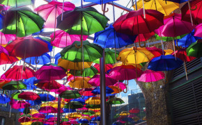 Colorful Umbrella Wallpaper 1680x1050 64490