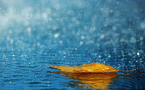 Monsoon Umbrella Wallpaper 2560x1600 64713
