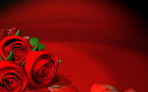 Red Rose 07234