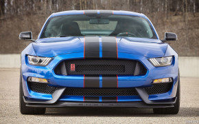 Ford Shelby GT350 Wallpaper 2560x1440 69046