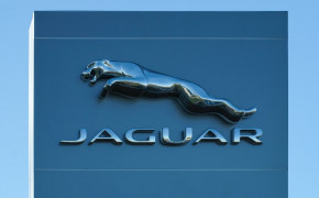 Jaguar Logo Wallpaper 1000x612 71896