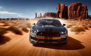 Ford Shelby GT350 Wallpaper 2560x1440 69049