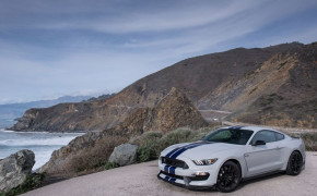Ford Mustang Shelby GT350 Wallpaper 1050x700 69006