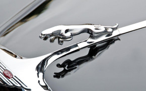Jaguar Logo Wallpaper 1600x900 71891