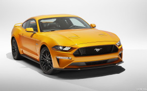 Ford Mustang 2018 Wallpaper 2560x1440 68975