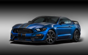 Ford Mustang Shelby GT350 Wallpaper 3600x2400 69010