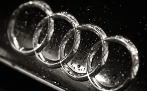 Audi Logo Wallpaper 3840x2160 69408