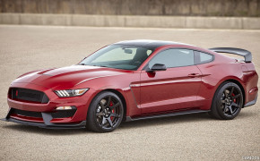 Ford Mustang Shelby GT350 Wallpaper 2560x1440 69002