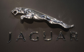 Jaguar Logo Wallpaper 3500x2158 71890